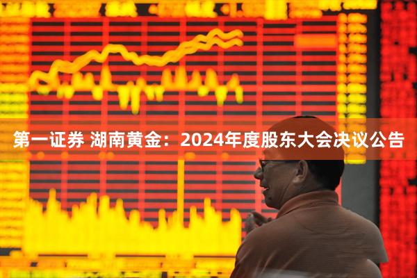 第一证券 湖南黄金：2024年度股东大会决议公告
