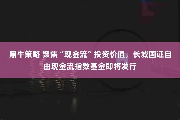 黑牛策略 聚焦“现金流”投资价值，长城国证自由现金流指数基金即将发行
