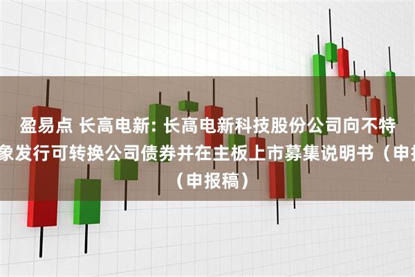 盈易点 长高电新: 长高电新科技股份公司向不特定对象发行可转换公司债券并在主板上市募集说明书（申报稿）