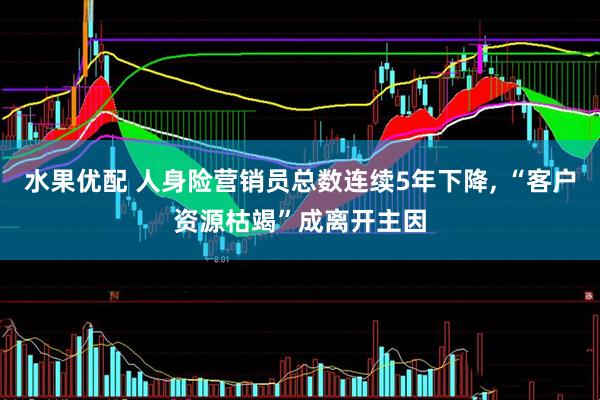 水果优配 人身险营销员总数连续5年下降, “客户资源枯竭”成离开主因
