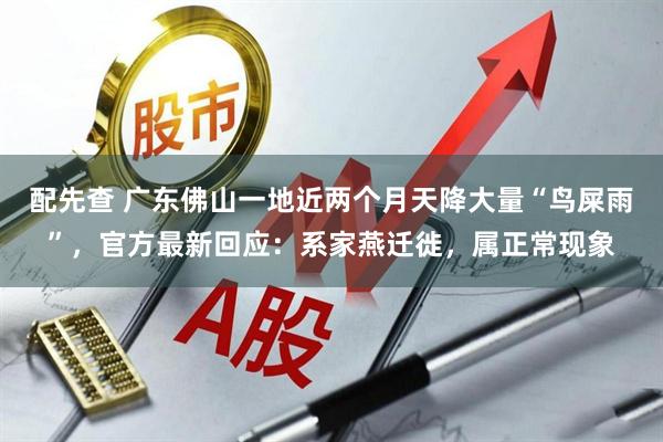 配先查 广东佛山一地近两个月天降大量“鸟屎雨”，官方最新回应：系家燕迁徙，属正常现象