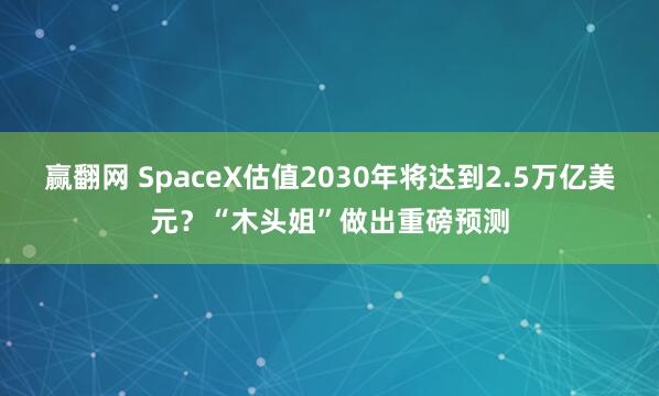 赢翻网 SpaceX估值2030年将达到2.5万亿美元？“木头姐”做出重磅预测