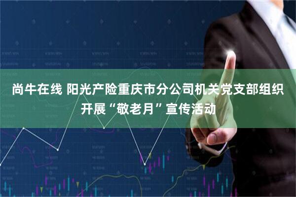 尚牛在线 阳光产险重庆市分公司机关党支部组织开展“敬老月”宣传活动