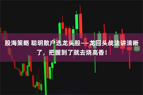 股海策略 聪明散户选龙头股——龙回头战法讲清晰了，把握到了就去烧高香！